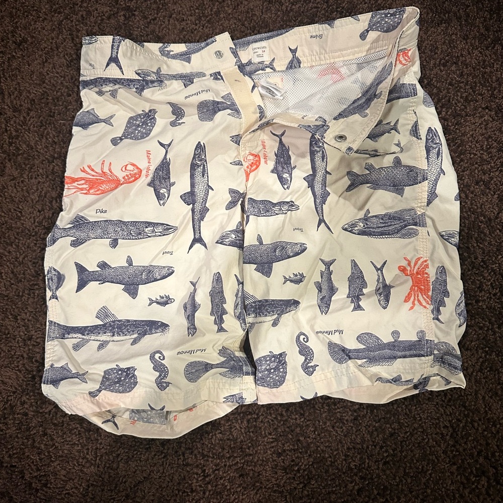 Crewcuts Cream and Blue Fish Print Swim Trunks